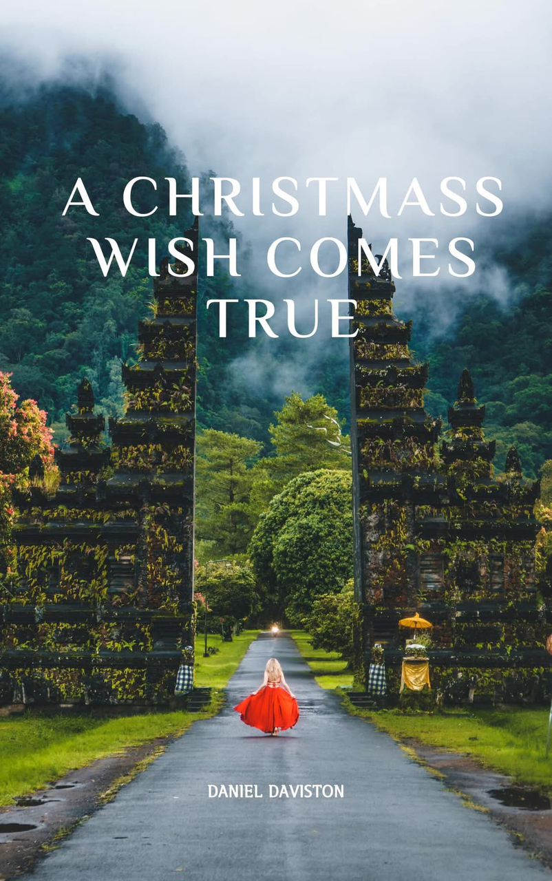 A Christmas Wish Comes True book cover